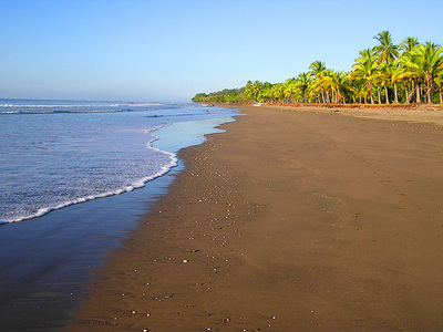 Esterillos Oeste 6