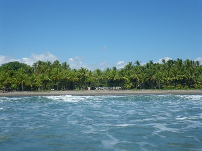 Bejuco View