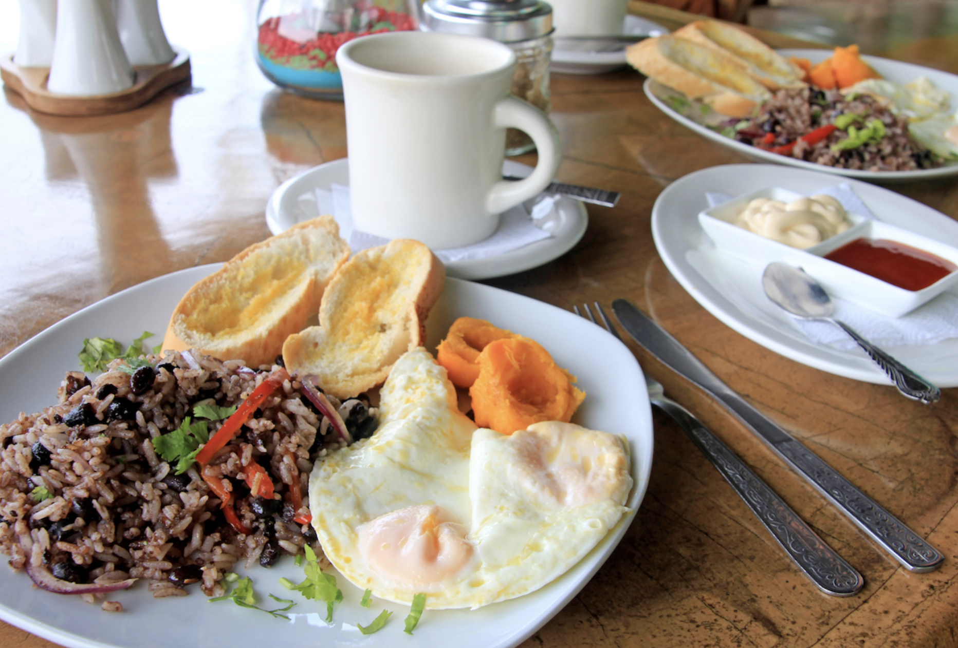 Pura Vida Casas dining experience
